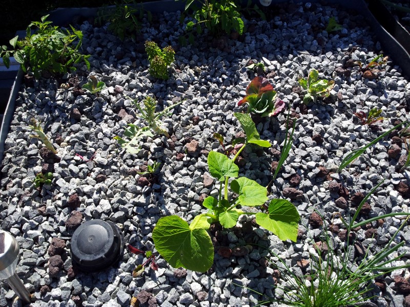 20121110_163326 (Custom).jpg