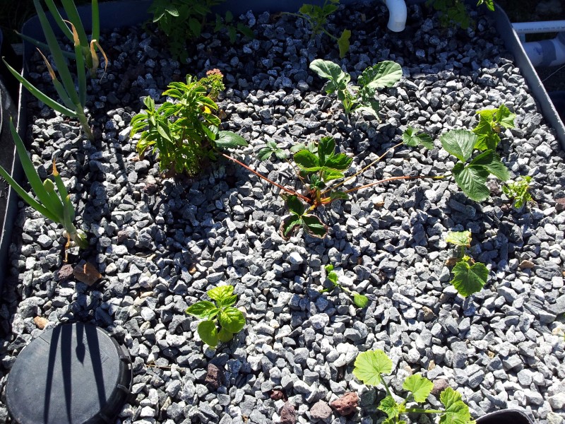 20121110_163331 (Custom).jpg