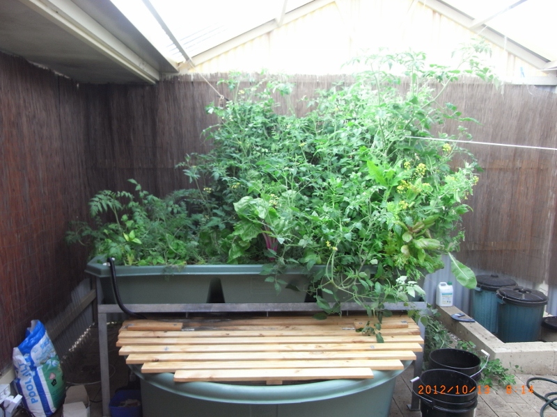 111112 001 (800x600).jpg