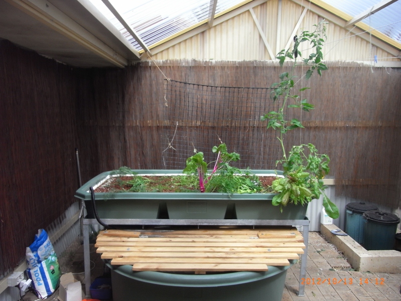 111112 002 (800x600).jpg