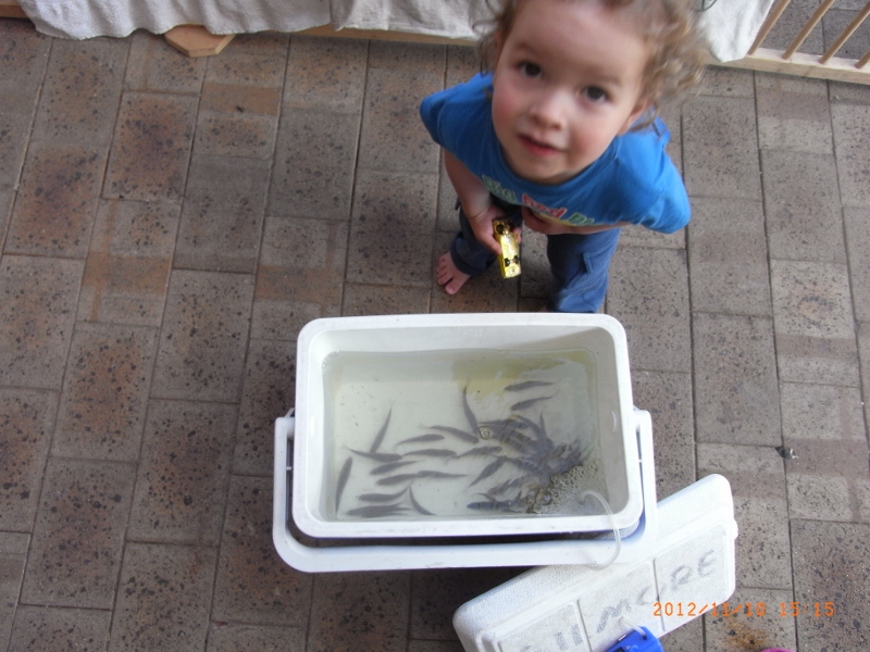 111112 004 (800x600).jpg