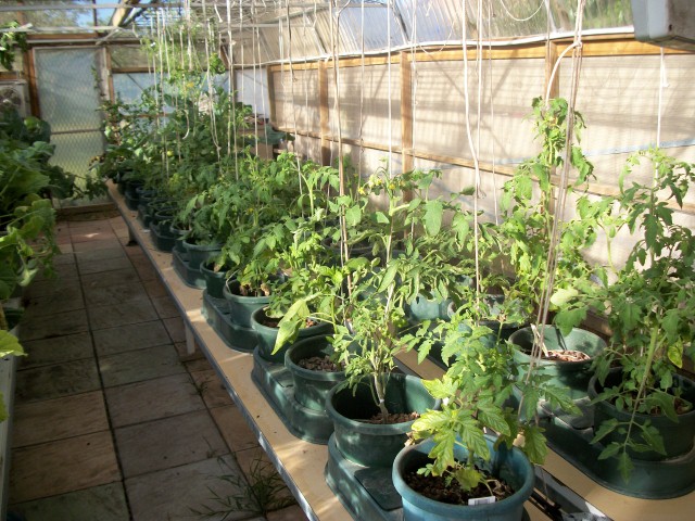 100_0239 (Small).JPG