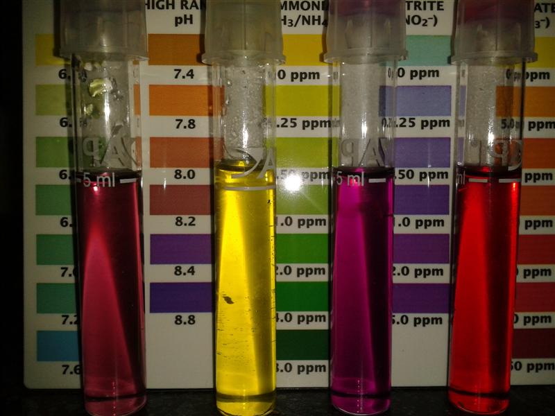 2012-10-28 21.13.26 (Medium).jpg