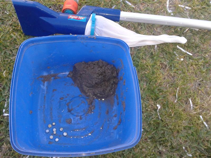 2012-11-08 17.54.55 (Medium).jpg