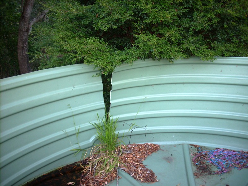 Old tank split side r.jpg