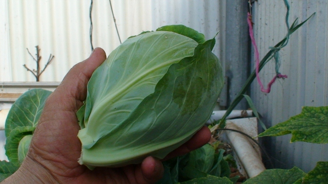 DSC00529 (640x360).jpg