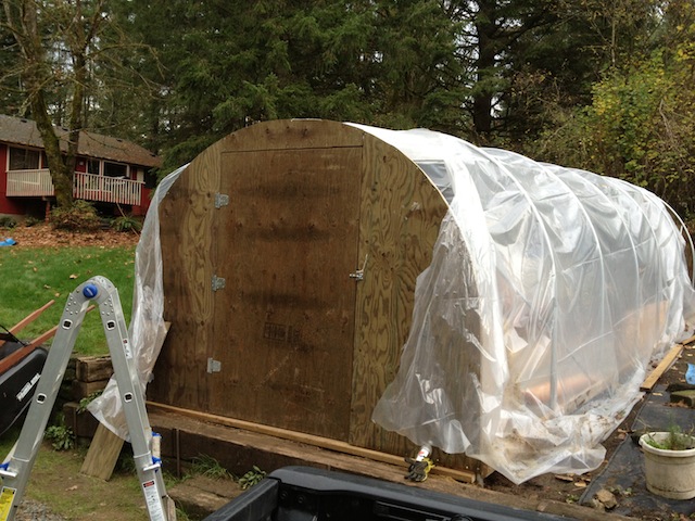 2012-11-16 13.06.16.jpg