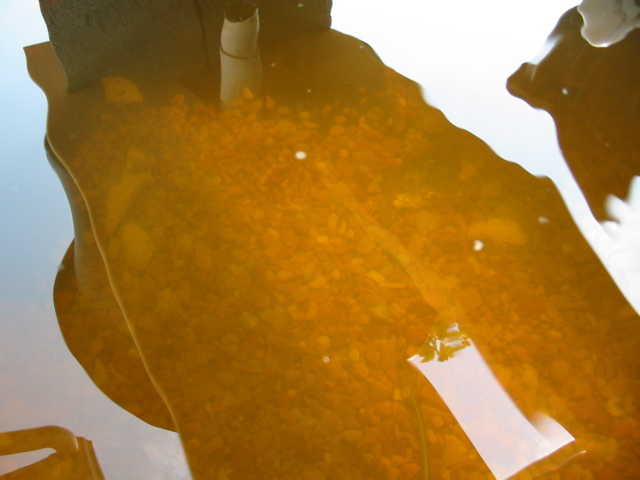 Clear Water Aug 25.jpg