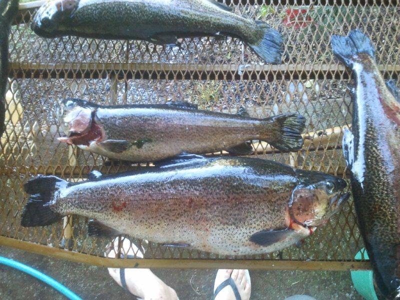 17.11.2012 bigs 'n little.jpg