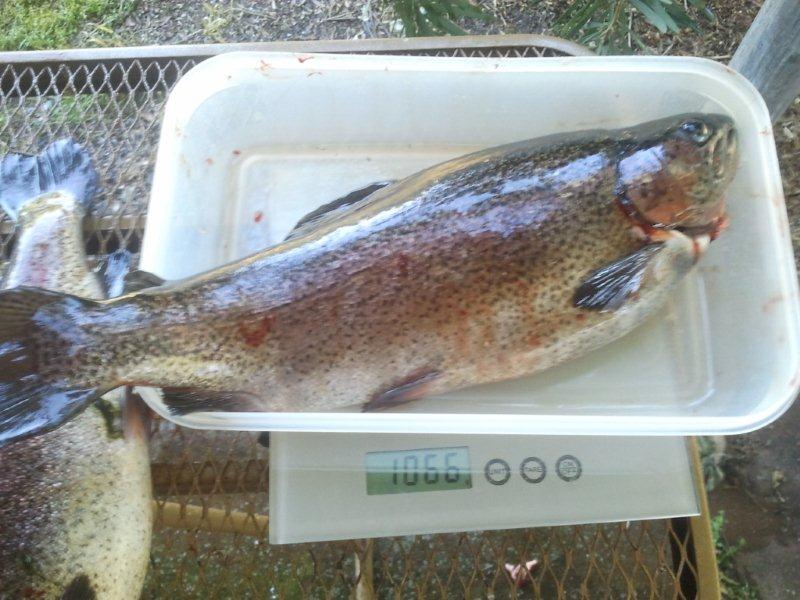 17.11.2012 biggest today.jpg