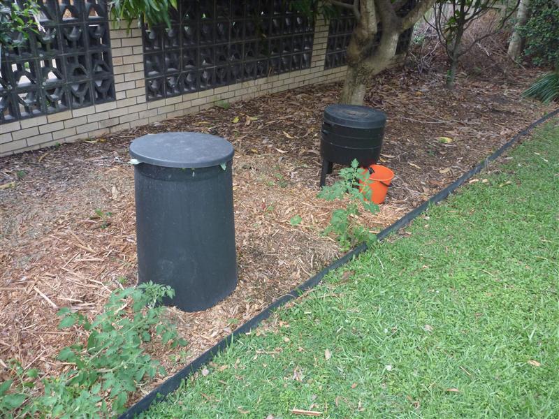 P1060578 (Custom).JPG