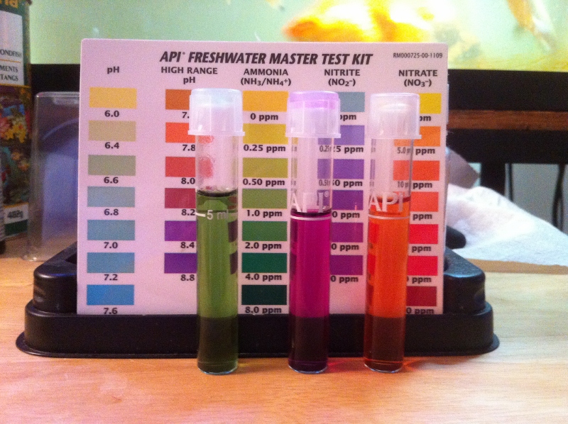 IMG_1728 (800x598).jpg