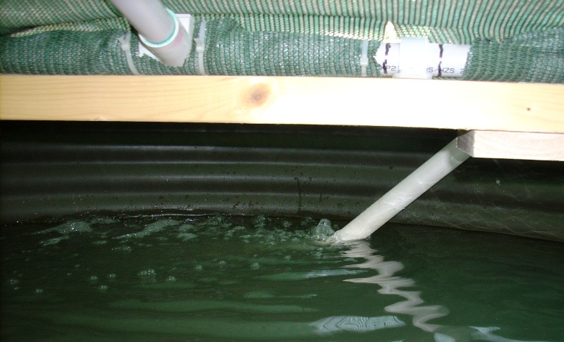 Water entering tank r.jpg