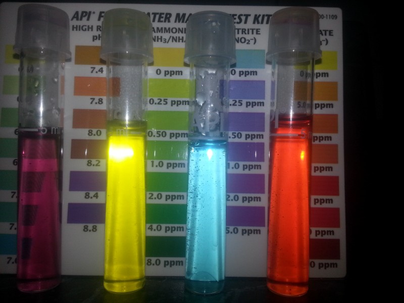 20121118_194402 (Custom).jpg