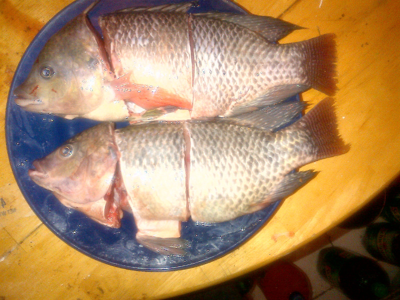 Cleaned and Scaled.jpg