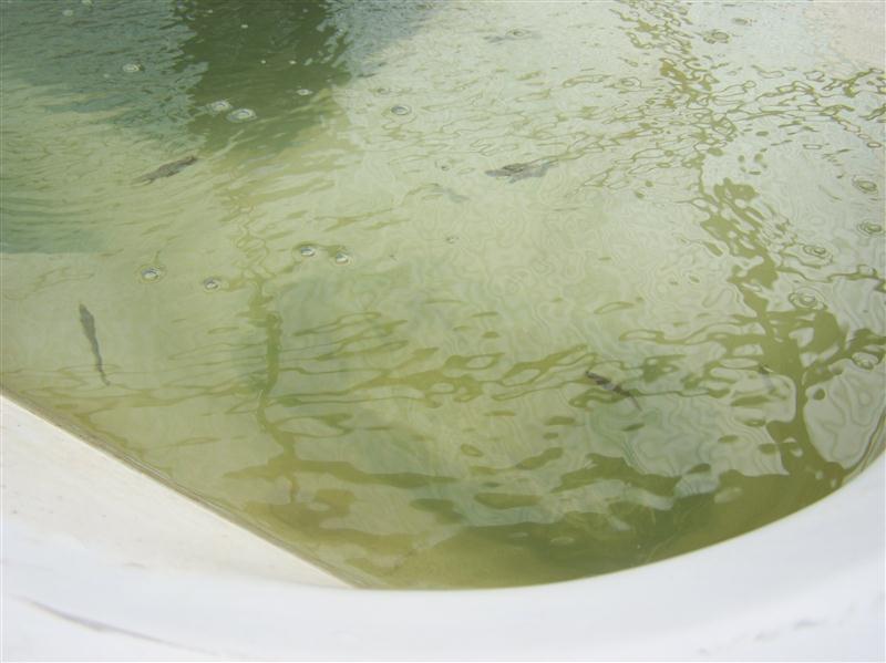 100_7398 (Custom).JPG