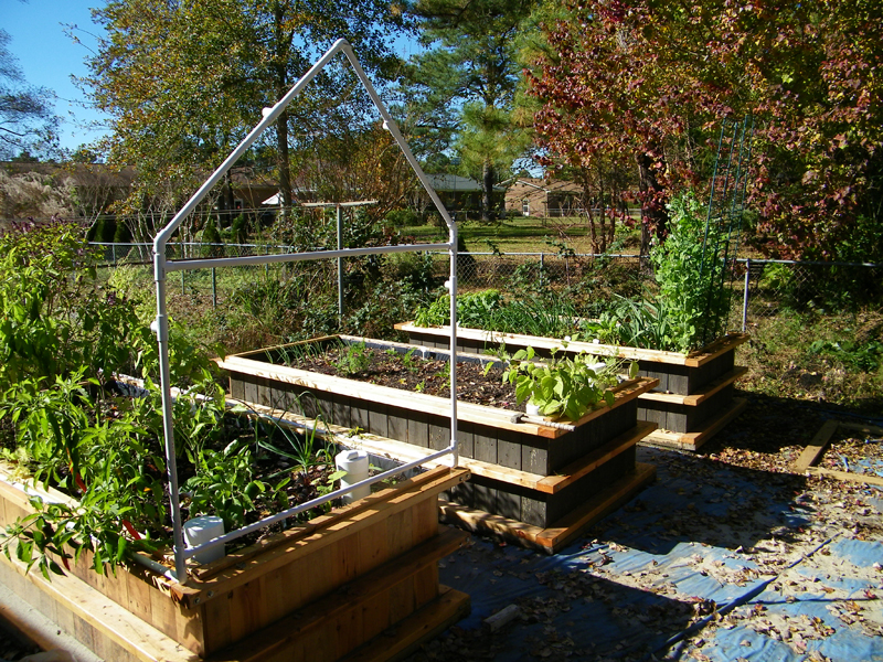wicking bed frame 1.jpg