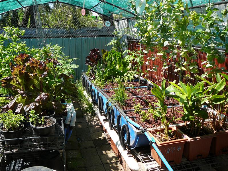 P1070253 (Custom).JPG