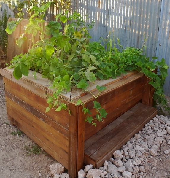 tumblr_mbk57jgVjM1rgwthxo7_1280 (573x600).jpg