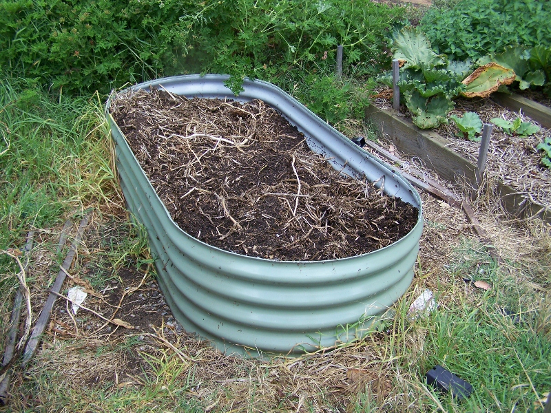 100_0896 (800x600).jpg