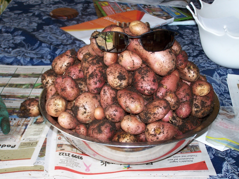 100_0893 (800x600).jpg