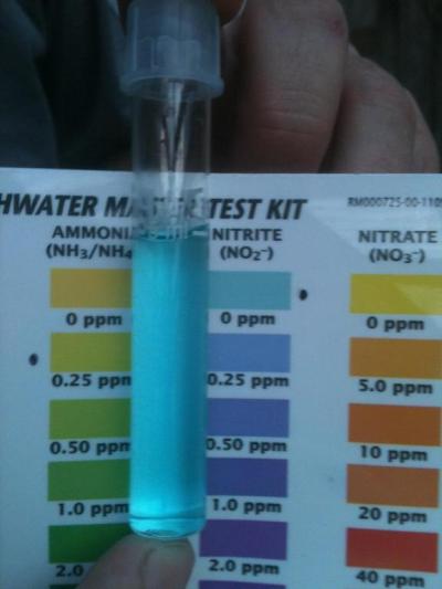 Nitrites.jpg