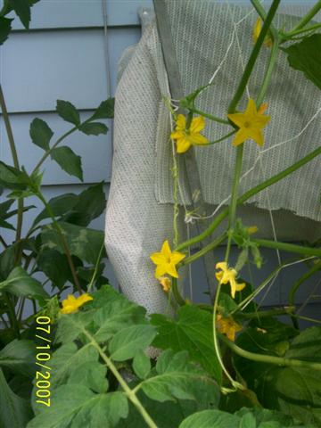 100_0134 (Small).jpg