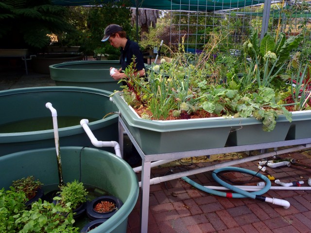 P1010060 (Small).JPG