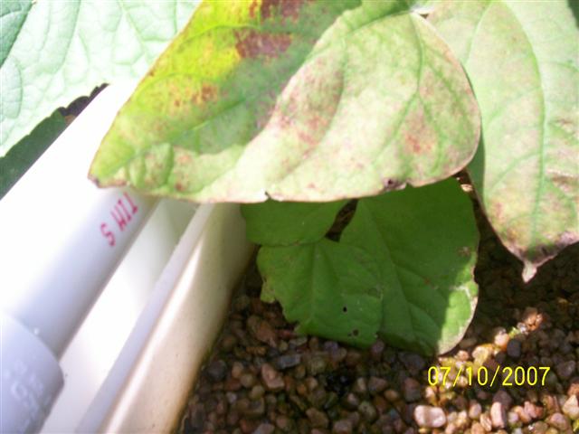 100_0133 (Small).jpg