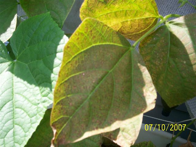 100_0132 (Small).jpg