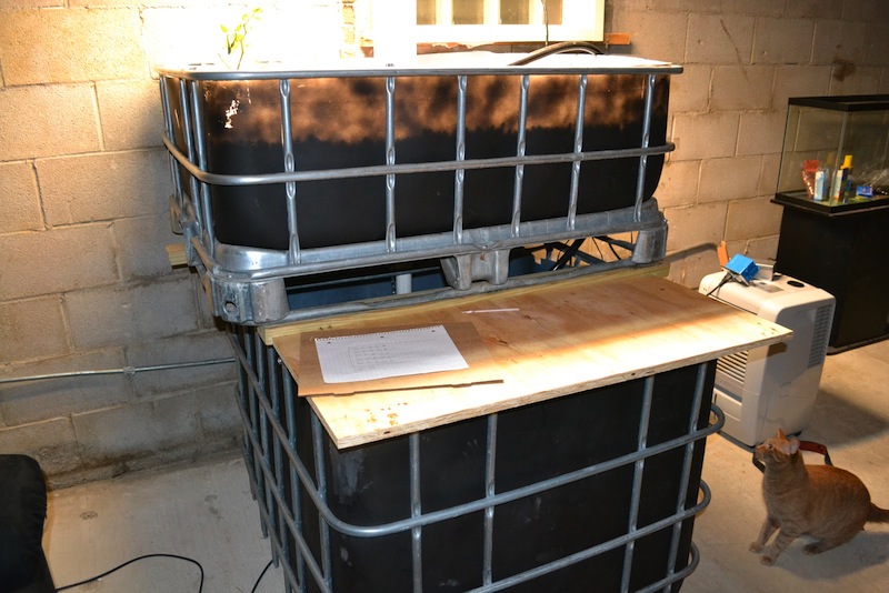ibc tote aquaponics 1.JPG