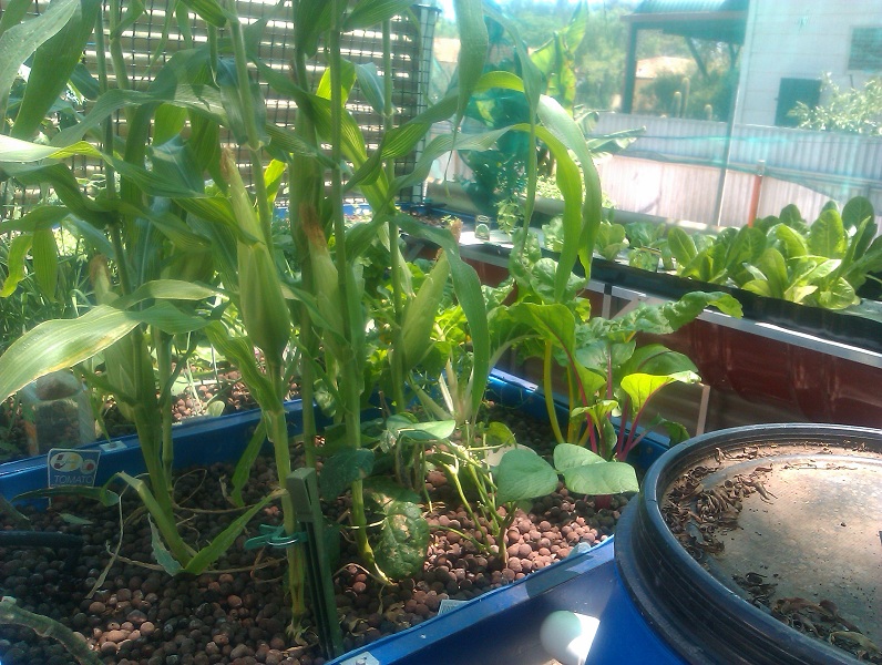 2012-12-10 12.33.25s.jpg