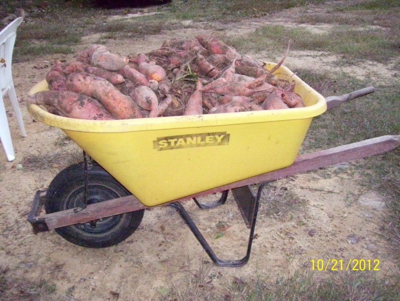 extra 039 (Custom).jpg