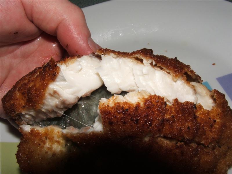 DSCF4166 (Medium).JPG