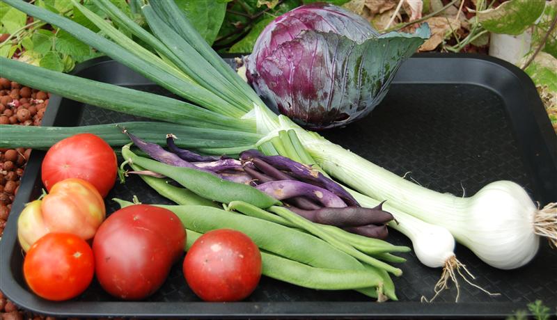 DSC_0036 (Custom).JPG