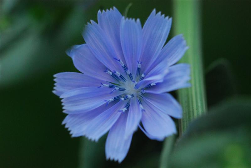 DSC_0019 (Custom).JPG