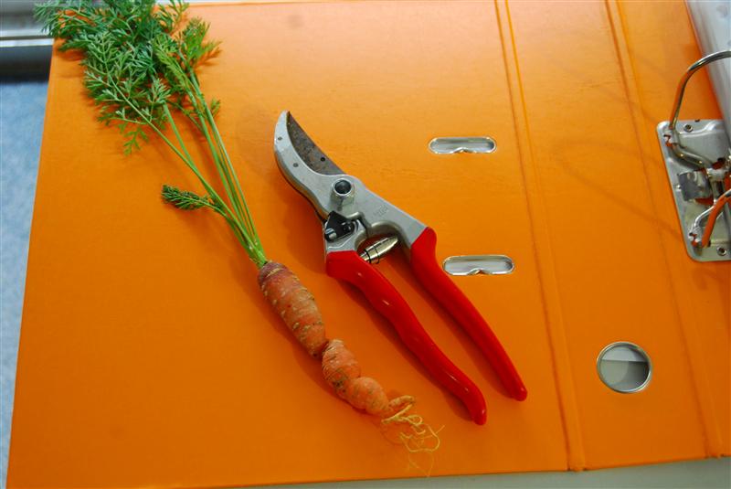 DSC_0041 (Custom).JPG