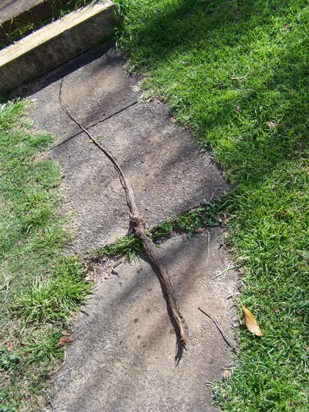 100_3380 (Medium).JPG