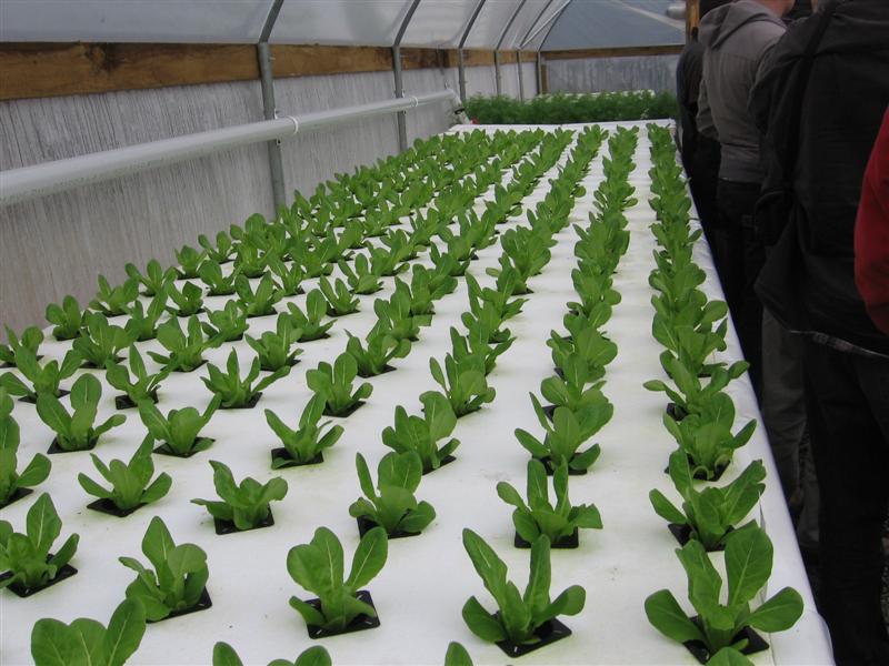 minna 003 (Medium).jpg