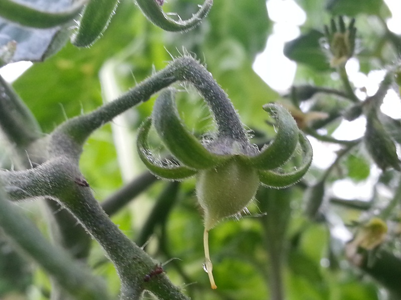 2012-12-15 10.38.46.png