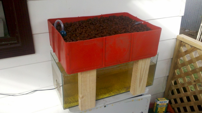 Aquaponic Herb Garden.jpg