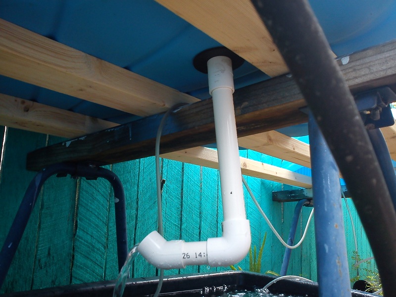 20121219_Simple Siphon Went to Fair (2).jpg