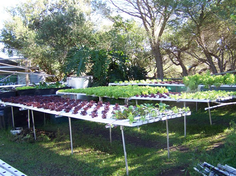 100_7205 (Custom).JPG