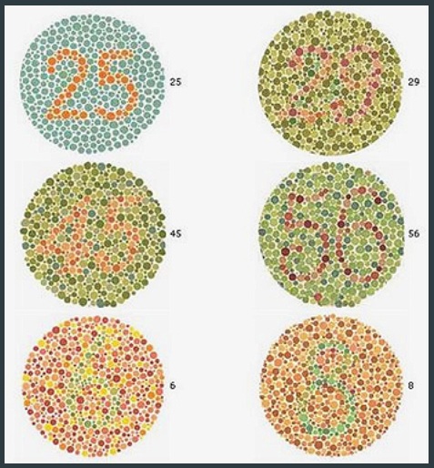 Colour Blind Test.jpg