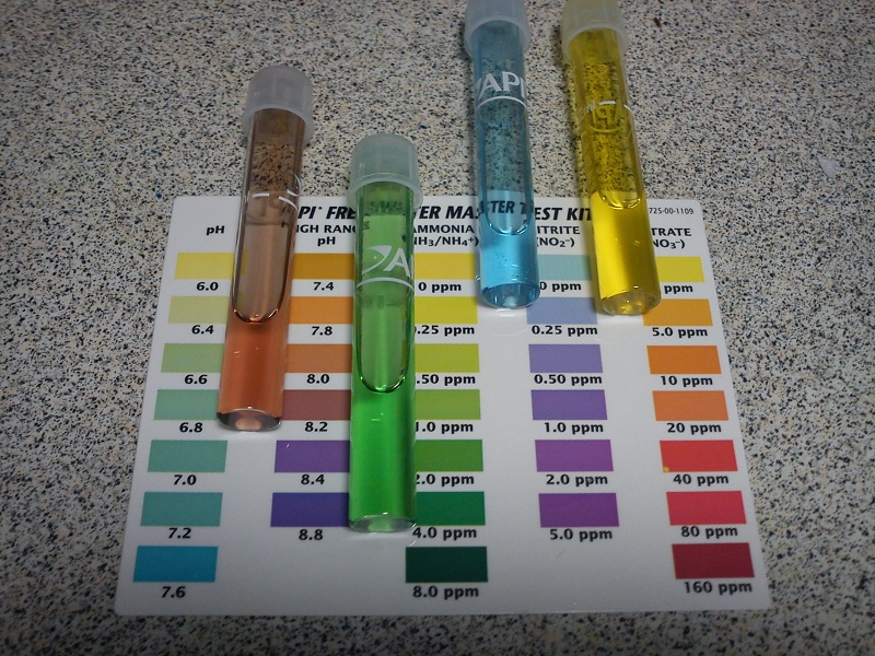 20121221_Water Test 6pm.jpg