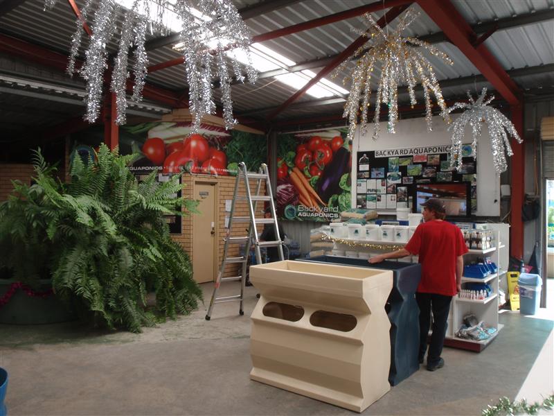 PC210049 (Custom).JPG