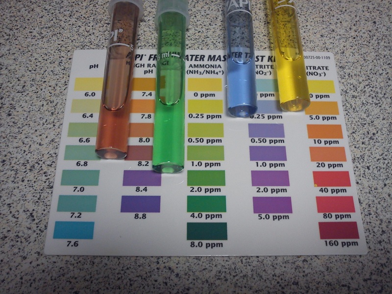 20121222_Water Test 6pm.jpg