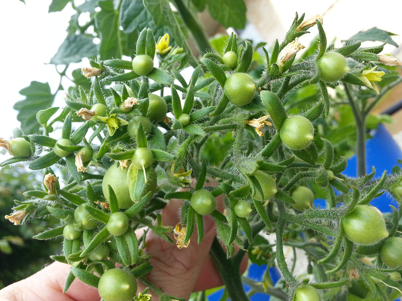 2012-12-23 16.16.24.png