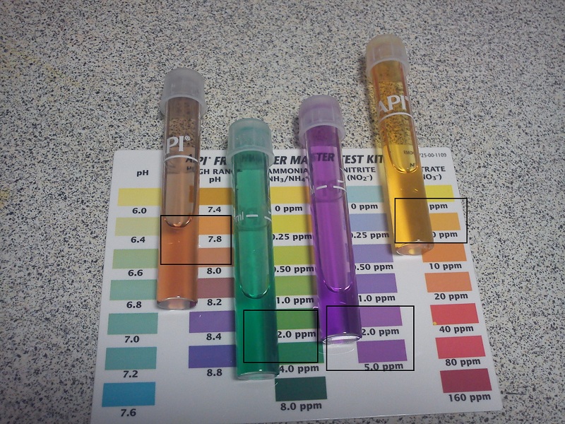 20121225_Water Test 7am.jpg