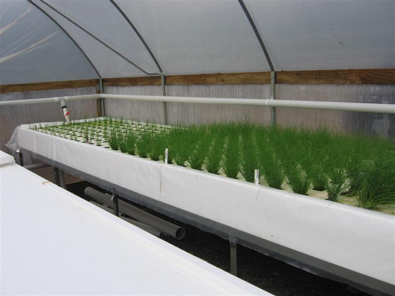 minna 001 (Medium).jpg